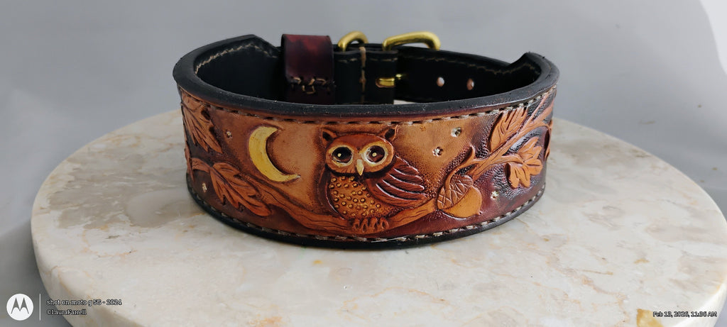 Hand-tooled leather dog collar with owl and moon design