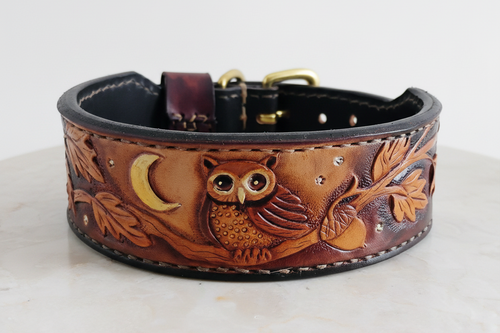 Collar Product Photo